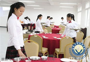 榆林旅游、酒店与职业教育深度解析 从能源化工到旅游管理，再到电商咨询