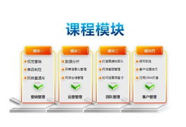 专业赋能电商未来 网盈机构一站式服务引领行业新篇章